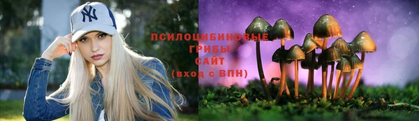 бошки Володарск