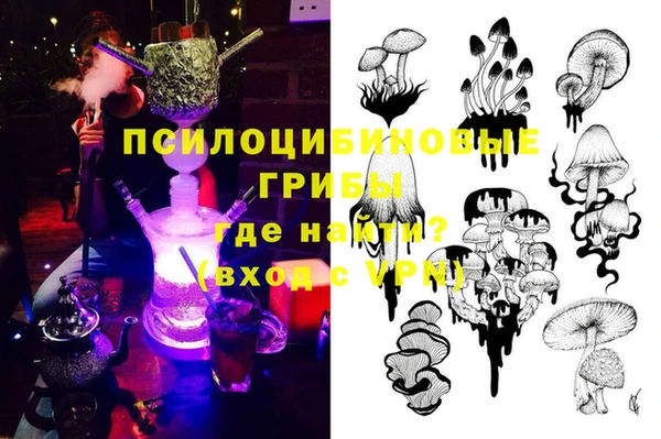 бошки Володарск
