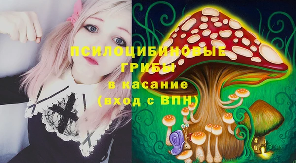 a pvp Верея