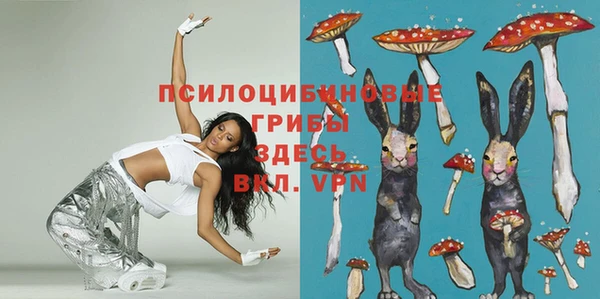 крисы Волосово